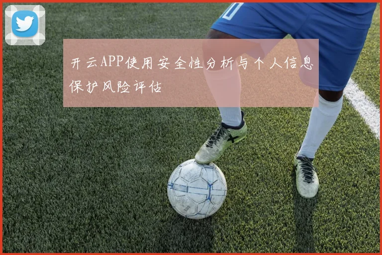 开云APP使用安全性分析与个人信息保护风险评估