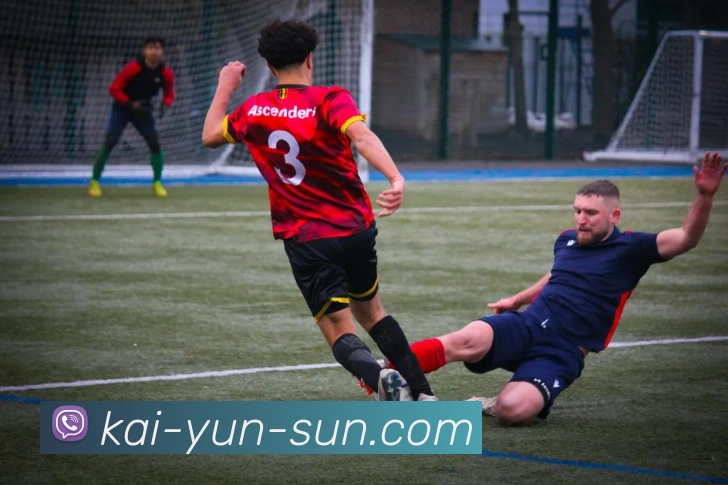 开云官网全站App